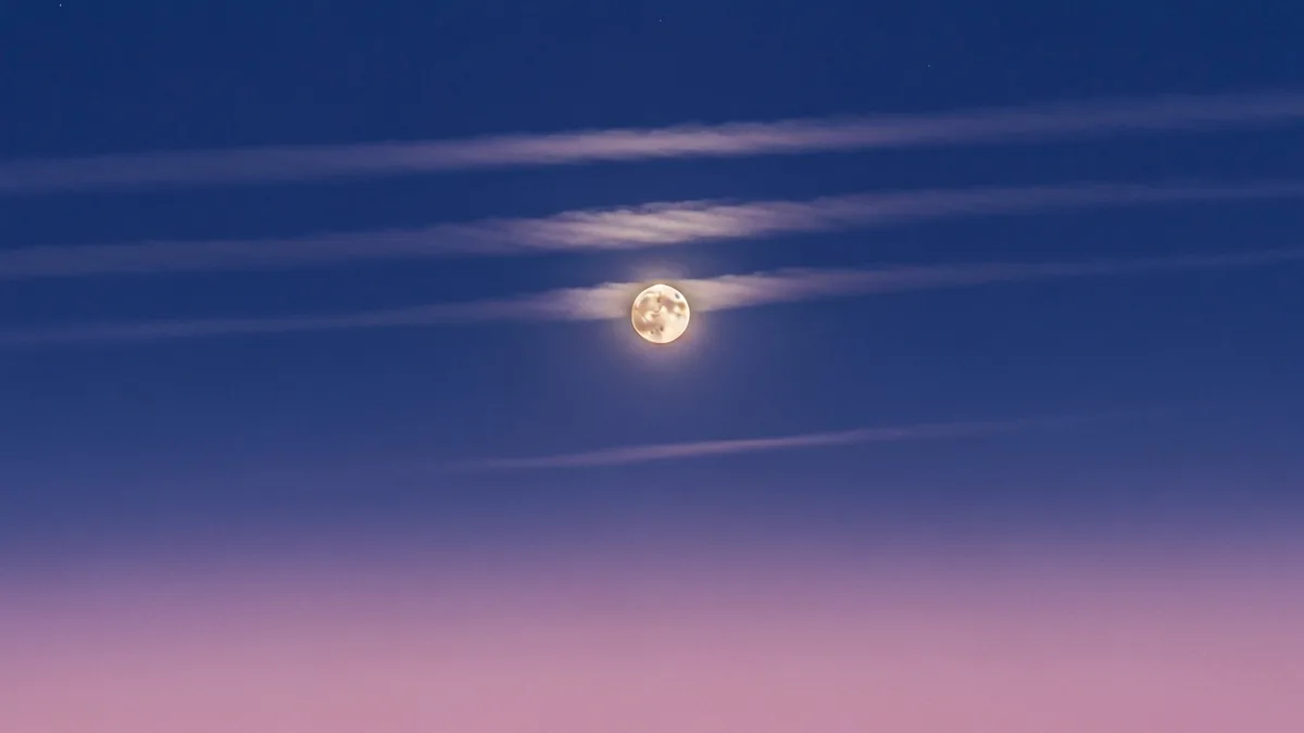 薄明かりの空に、月がひとつ浮かんでいる